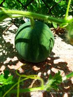 2019-07-18_13-47-08_637.jpg