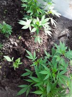 20190718_095259.jpg