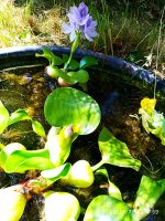 2019-07-18_17-12-53_723.jpg