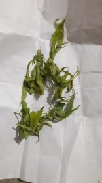 20190719_005146.jpg