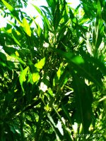 2019-07-19_16-37-17_802.jpg