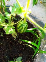 2019-07-19_17-20-51_439.jpg