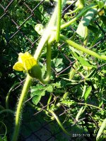 2019-07-19_17-20-58_189.jpg