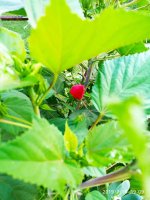 2019-07-19_19-16-31_654.jpg