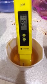 20190719_214923.jpg