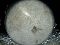 20190719_200917.jpg