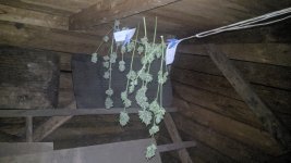IMG_20190720_031502.jpg