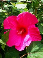 2019-07-20_12-16-36_256.jpg