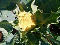 2019-07-20_14-01-37_181.jpg