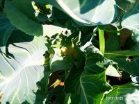 2019-07-20_14-01-19_417.jpg