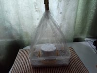 20190720_150352.jpg