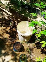 IMG-20190722-WA0012.jpg