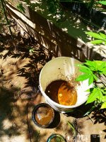 IMG-20190722-WA0006.jpg