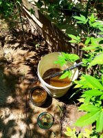 IMG-20190722-WA0013.jpg