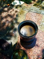 IMG-20190722-WA0016.jpg