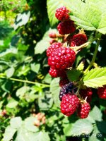 IMG-20190722-WA0038.jpg