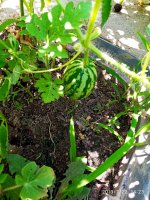 IMG-20190722-WA0030.jpg