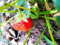 IMG-20190722-WA0019.jpg