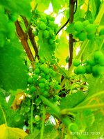 IMG-20190722-WA0040.jpg