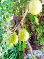 IMG-20190722-WA0044.jpg