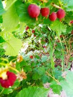 IMG-20190722-WA0043.jpg