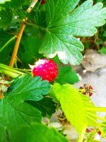 IMG-20190722-WA0047.jpg