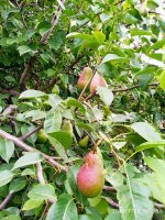 IMG-20190722-WA0054.jpg