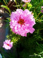 IMG-20190722-WA0102.jpg