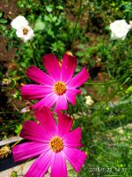 IMG-20190722-WA0087.jpg