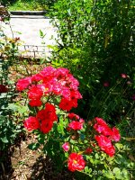 IMG-20190722-WA0084.jpg