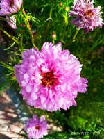 IMG-20190722-WA0080.jpg