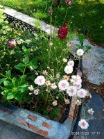 IMG-20190722-WA0079.jpg