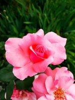 IMG-20190722-WA0078.jpg