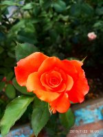 IMG-20190722-WA0077.jpg