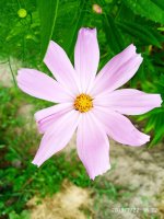 IMG-20190722-WA0076.jpg