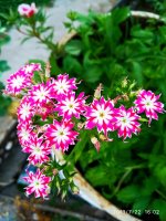 IMG-20190722-WA0074.jpg