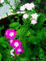 IMG-20190722-WA0075.jpg