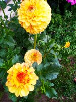 IMG-20190722-WA0071.jpg