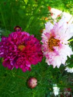 IMG-20190722-WA0068.jpg