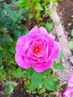 IMG-20190722-WA0067.jpg