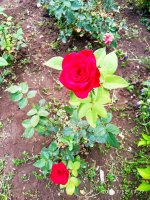 IMG-20190722-WA0066.jpg