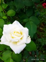 IMG-20190722-WA0064.jpg