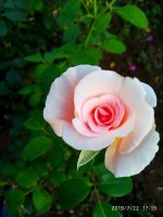 IMG-20190722-WA0065.jpg