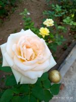 IMG-20190722-WA0058.jpg
