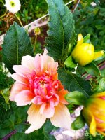 IMG-20190722-WA0126.jpg