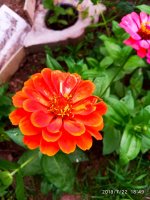 IMG-20190722-WA0125.jpg