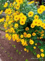 IMG-20190722-WA0123.jpg