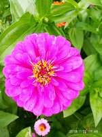 IMG-20190722-WA0120.jpg