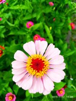IMG-20190722-WA0119.jpg