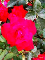 IMG-20190722-WA0117.jpg